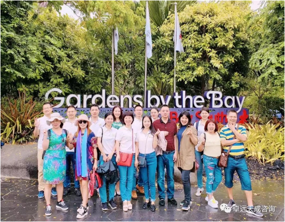卓远天成2019年度优秀员工双国旅游—新加坡、马来西亚！